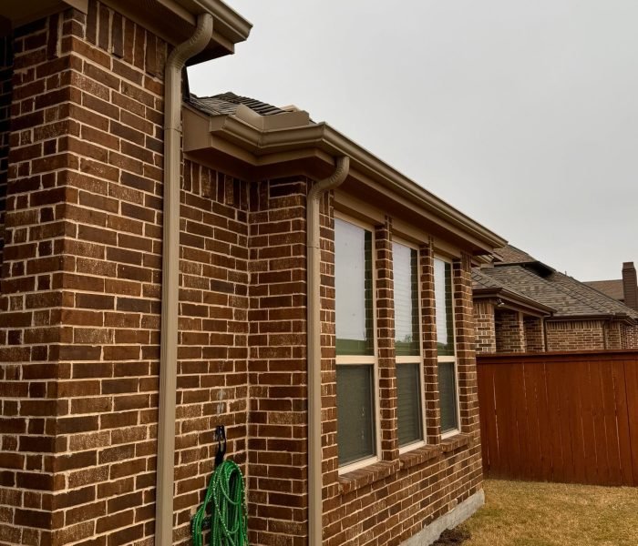 Imagen de WhatsApp 2024-12-14 a las 12.17.35_ac11ef7c