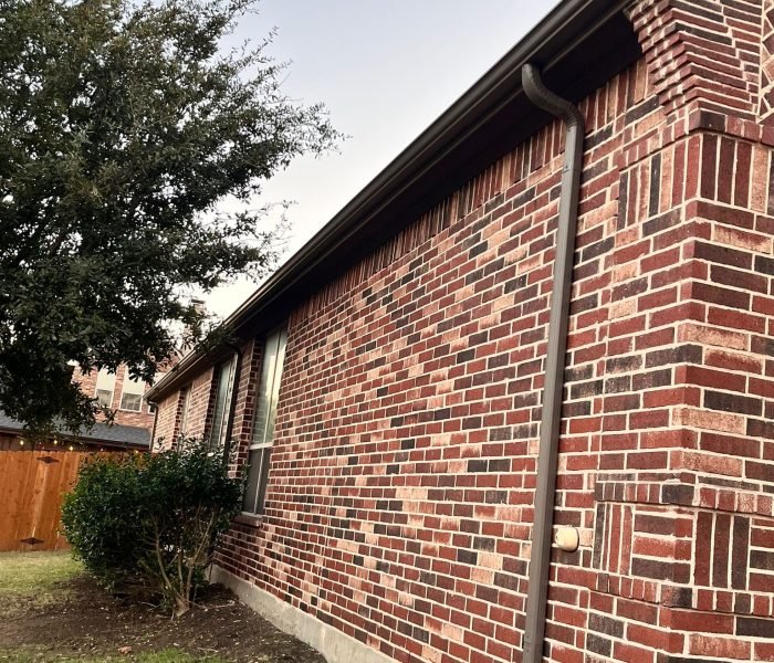 Imagen de WhatsApp 2024-12-14 a las 12.17.42_77b9d210