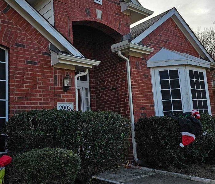 Imagen de WhatsApp 2024-12-14 a las 12.17.46_763e9219