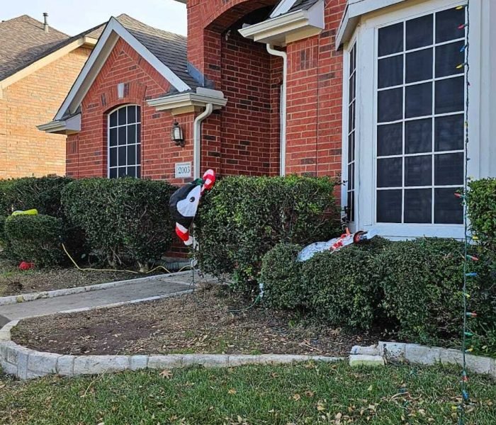 Imagen de WhatsApp 2024-12-14 a las 12.17.47_45422185