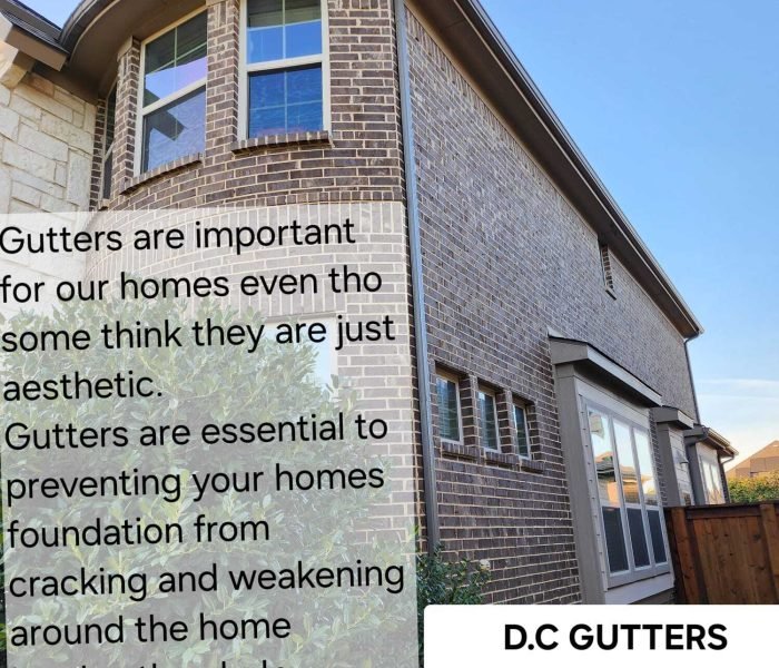 Imagen de WhatsApp 2024-12-14 a las 12.17.49_510f1d0d